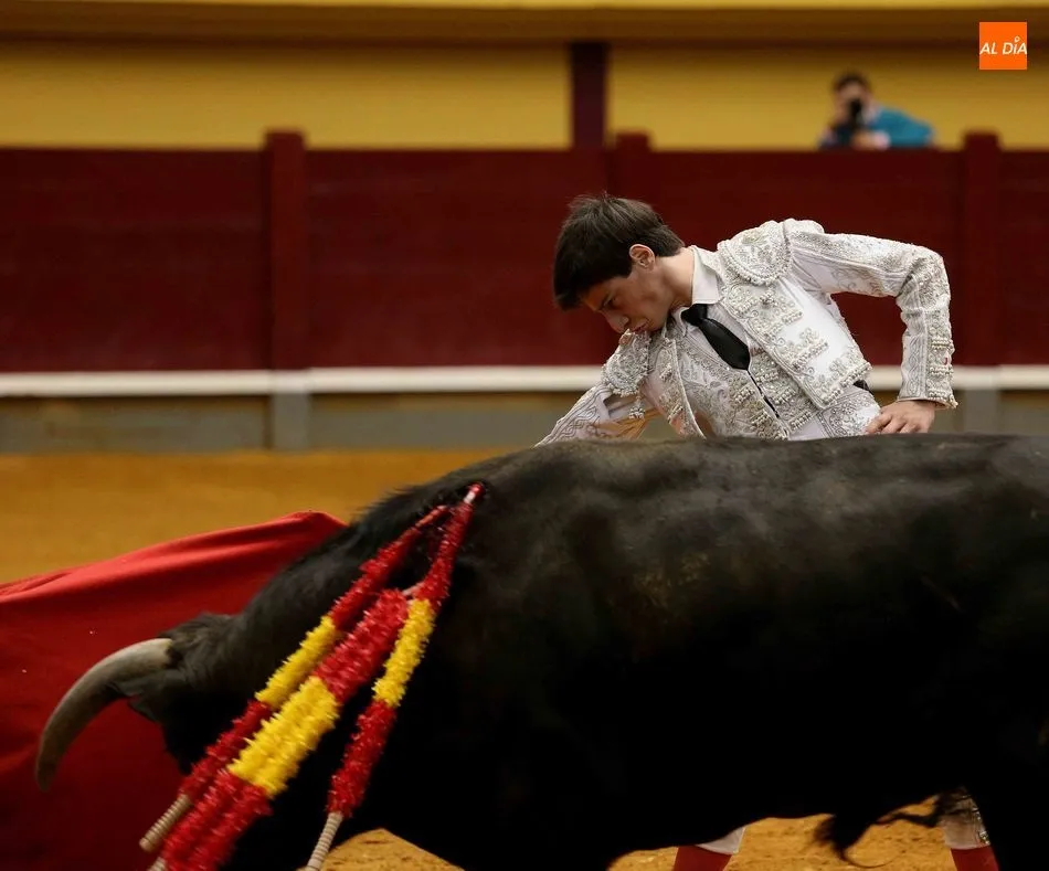 Foto 9 - Triunfo de Ismael Mart&iacute;n en la novillada de Alba de Tormes