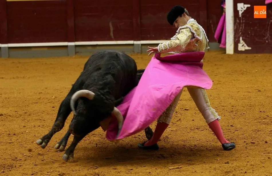Foto 7 - Triunfo de Ismael Mart&iacute;n en la novillada de Alba de Tormes