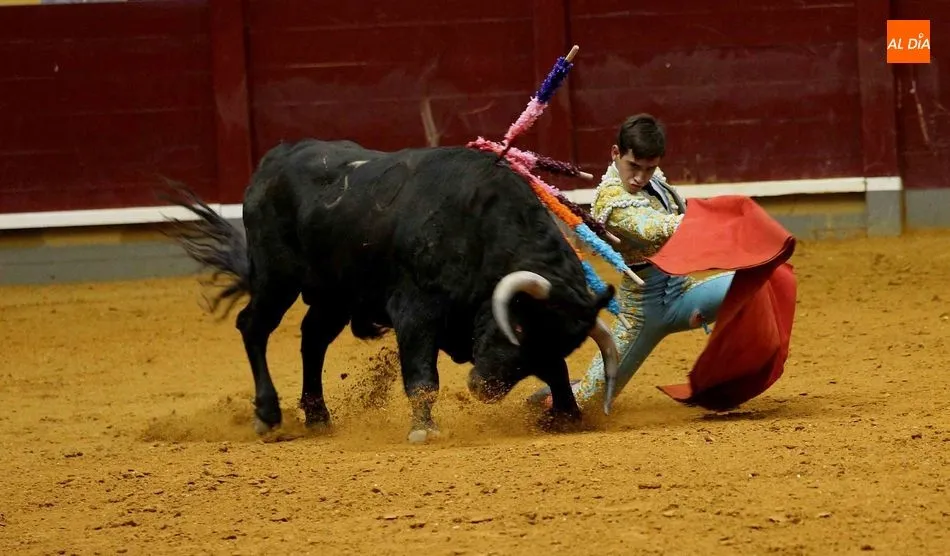 Foto 6 - Triunfo de Ismael Mart&iacute;n en la novillada de Alba de Tormes