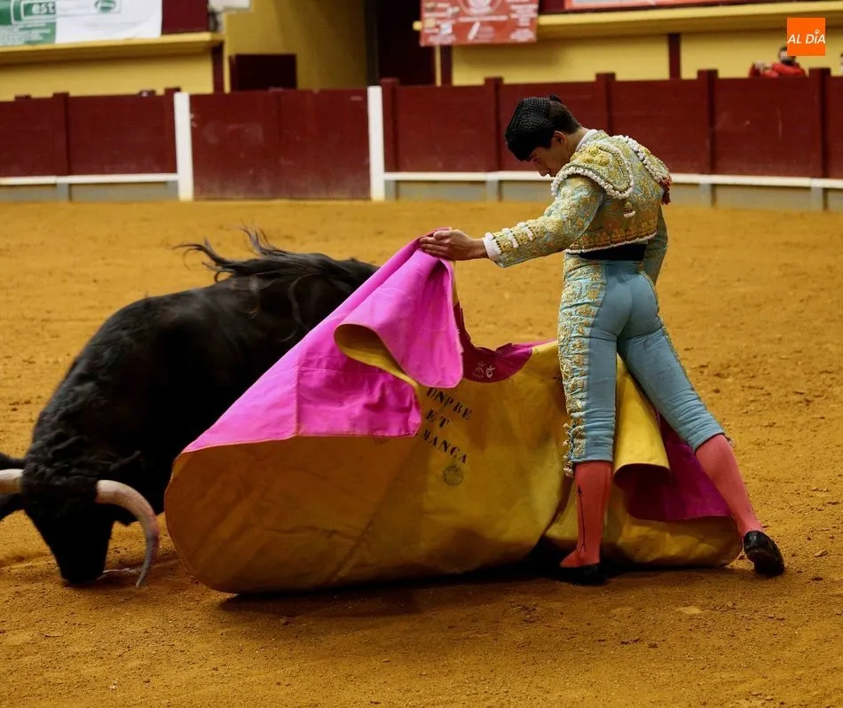 Foto 4 - Triunfo de Ismael Mart&iacute;n en la novillada de Alba de Tormes