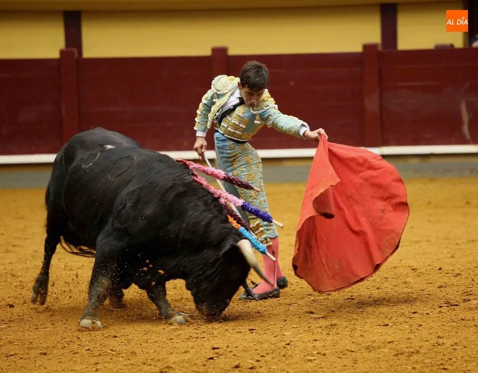 Foto 3 - Triunfo de Ismael Mart&iacute;n en la novillada de Alba de Tormes