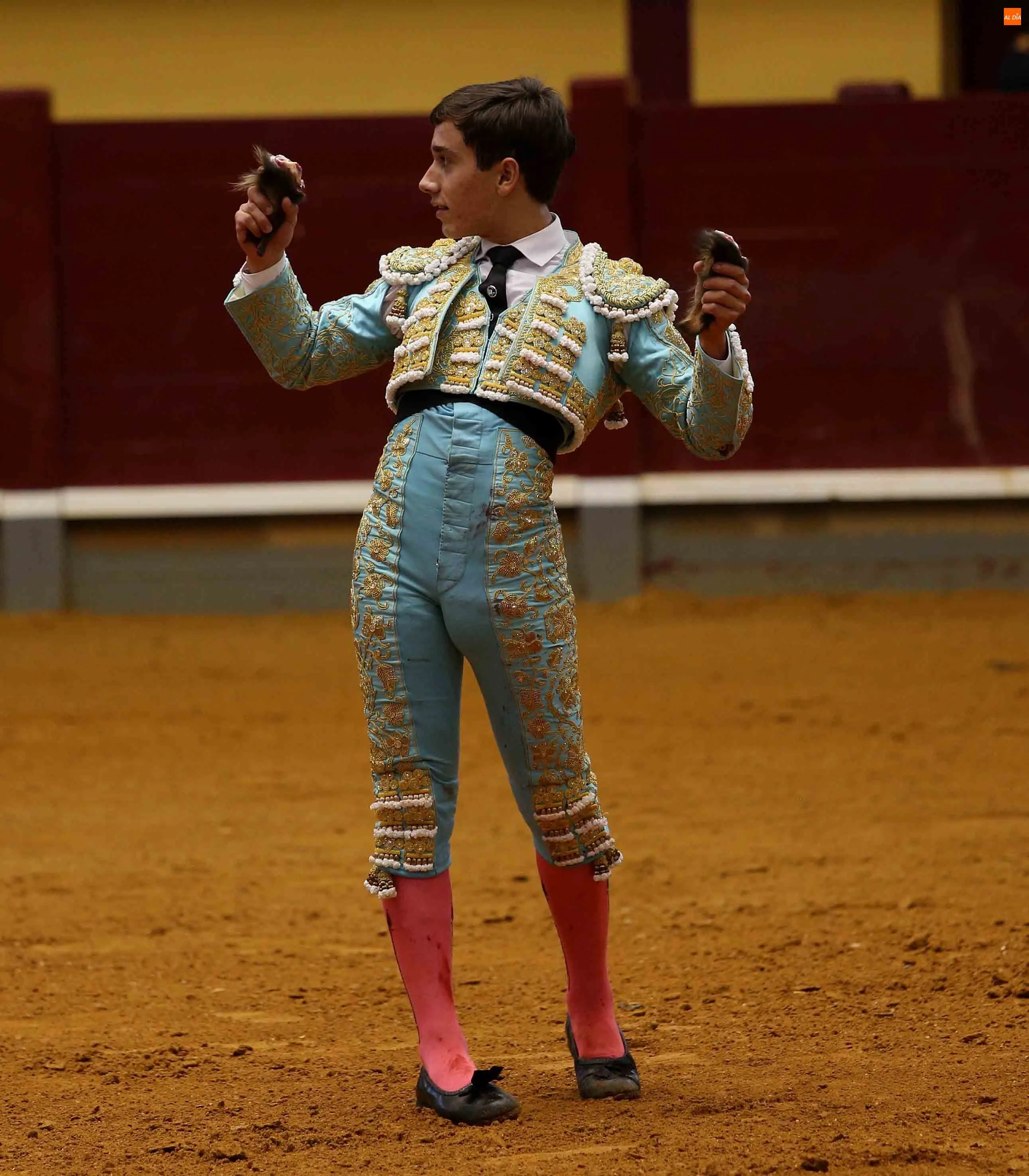 Foto 2 - Triunfo de Ismael Mart&iacute;n en la novillada de Alba de Tormes