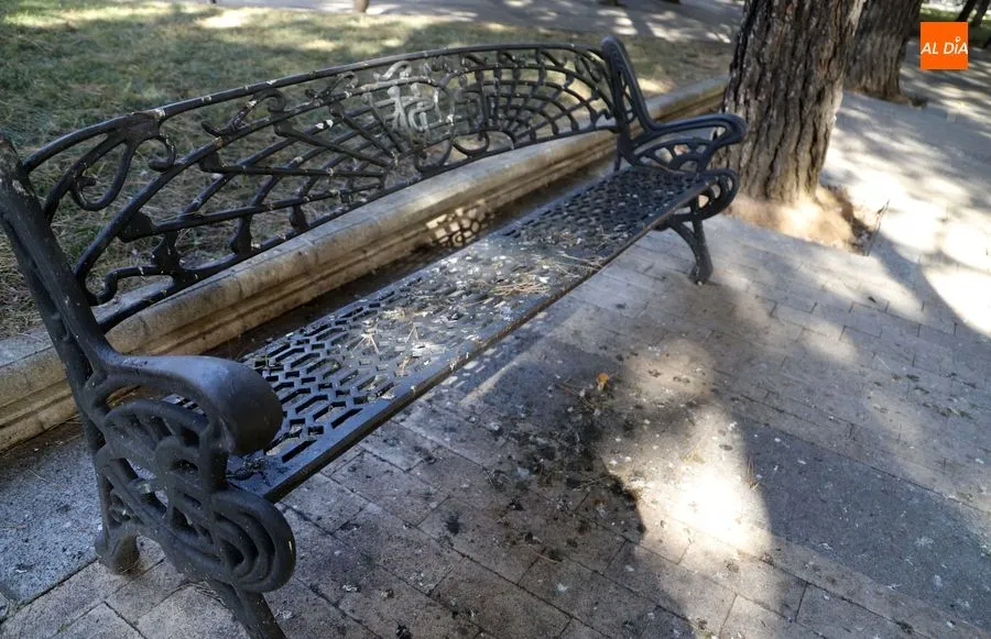 Foto 5 - Piden mejoras en el mantenimiento del parque Picasso aunque se &ldquo;ha incrementado la limpieza&rdquo;