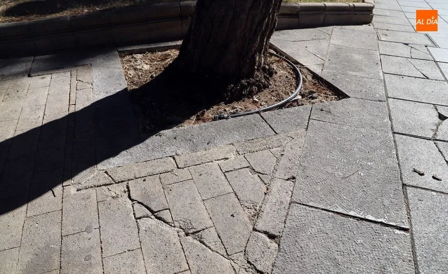 Foto 4 - Piden mejoras en el mantenimiento del parque Picasso aunque se &ldquo;ha incrementado la limpieza&rdquo;