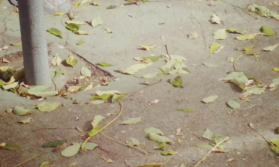 Foto 2 - Quejas de los usuarios del centro de salud de Pizarrales por las colas en el exterior para pedir...