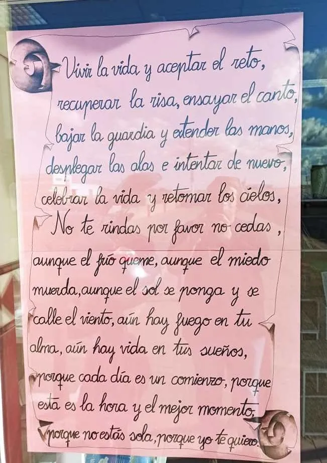 Foto 3 - Establecimientos de variados puntos de la ciudad visten sus escaparates de rosa  