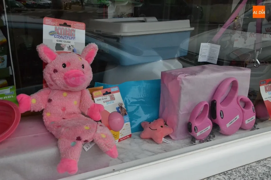 Foto 11 - Establecimientos de variados puntos de la ciudad visten sus escaparates de rosa  