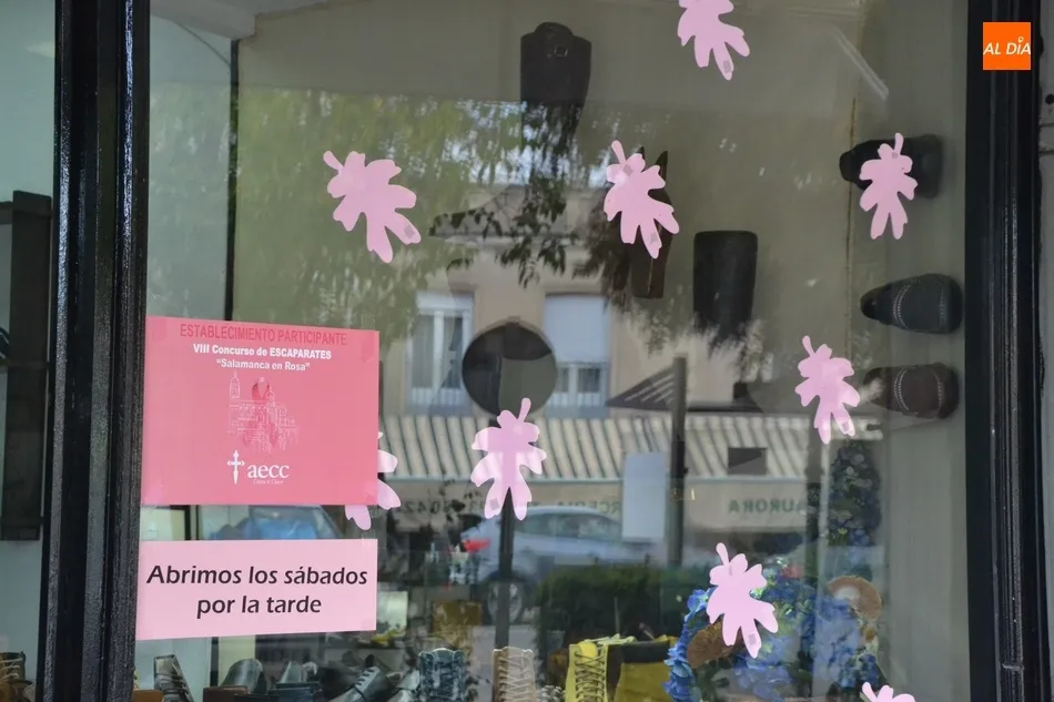 Foto 7 - Establecimientos de variados puntos de la ciudad visten sus escaparates de rosa  
