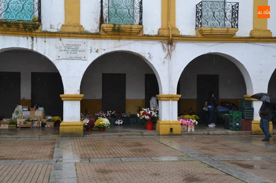 Foto 8 - Las flores ganan presencia en un Mercado de los Martes reducido y a cubierto por la lluvia  