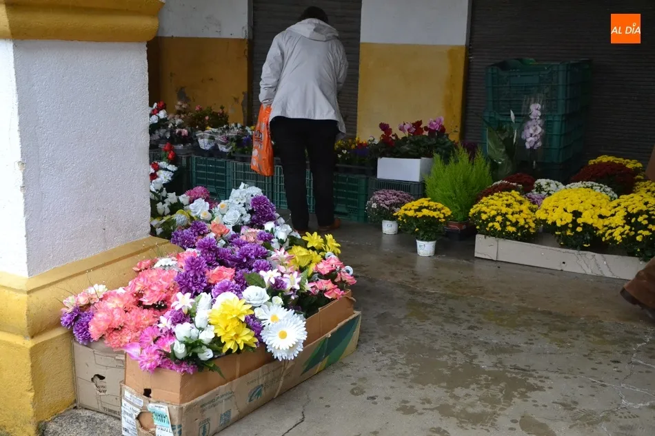 Foto 5 - Las flores ganan presencia en un Mercado de los Martes reducido y a cubierto por la lluvia  