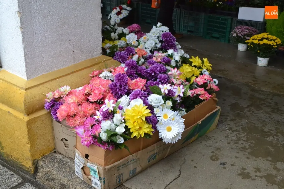 Foto 6 - Las flores ganan presencia en un Mercado de los Martes reducido y a cubierto por la lluvia  