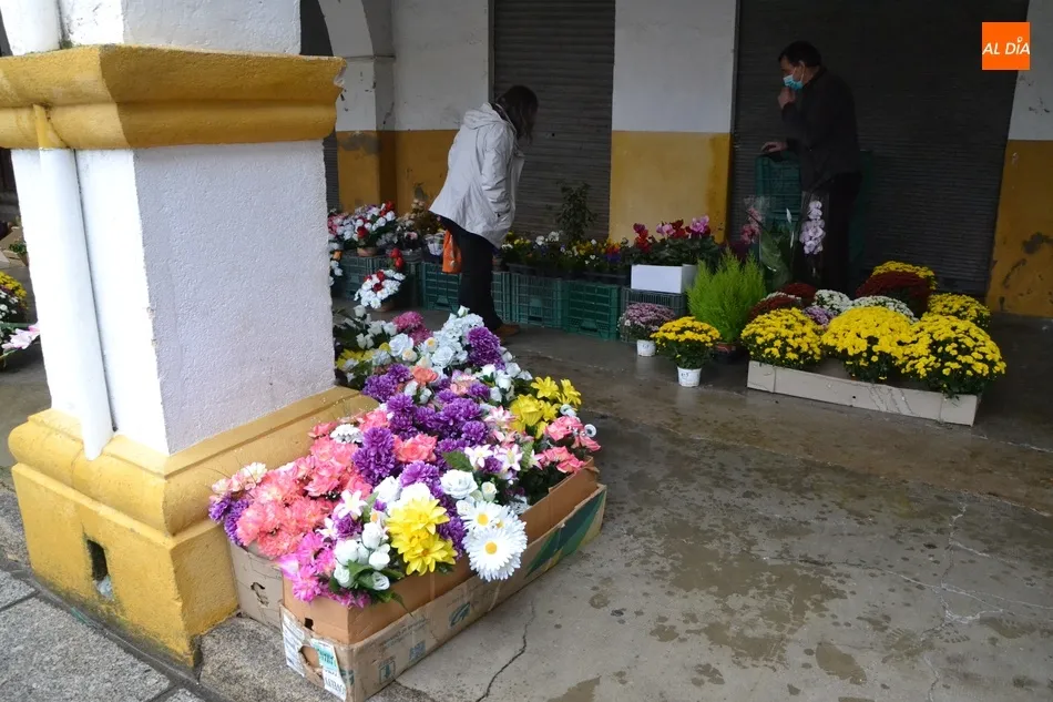 Las flores ganan presencia en un Mercado de los Martes reducido y a cubierto por la lluvia  