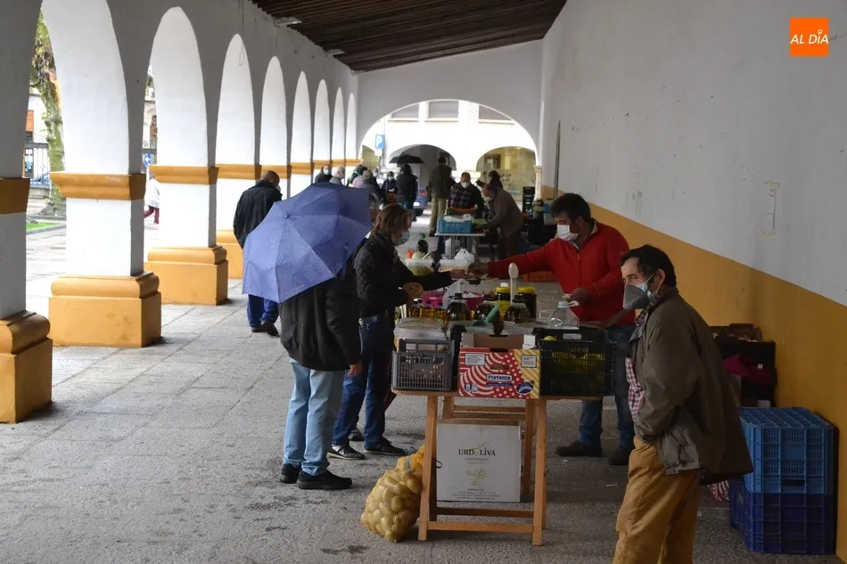 Foto 3 - Las flores ganan presencia en un Mercado de los Martes reducido y a cubierto por la lluvia  