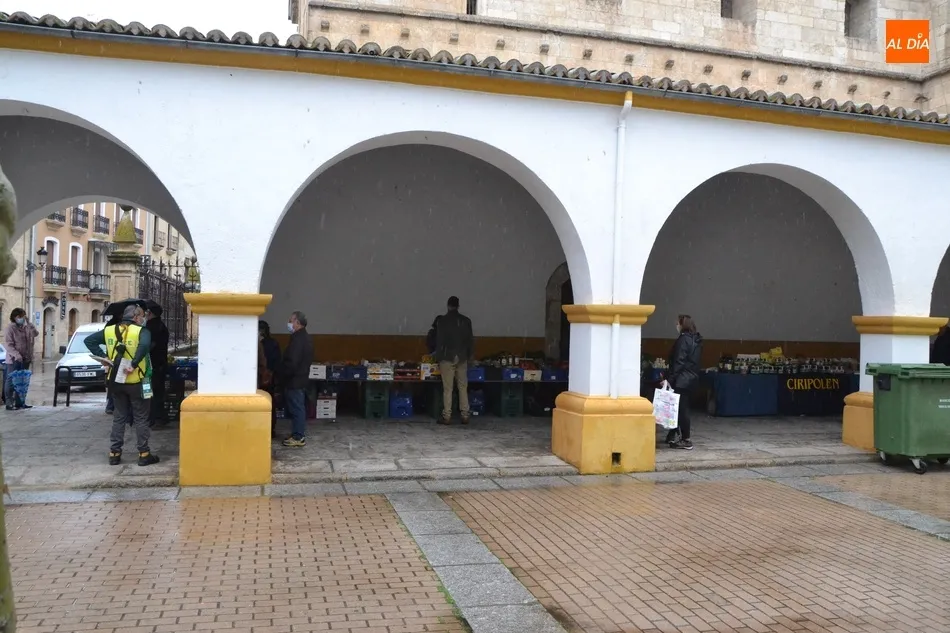 Foto 2 - Las flores ganan presencia en un Mercado de los Martes reducido y a cubierto por la lluvia  