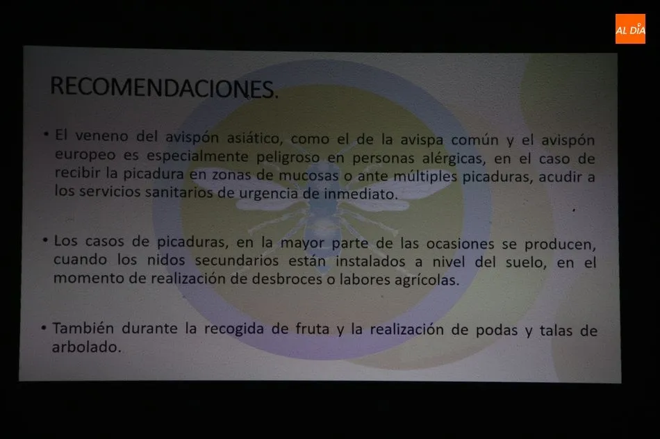 Foto 2 - Los vecinos de Sobradillo ya conocen c&oacute;mo diferenciar una avispa asi&aacute;tica y c&oacute;mo actuar  