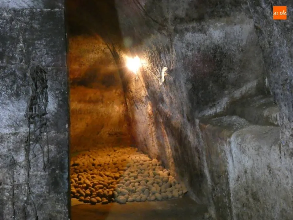 Foto 4 - Tesoros del patrimonio en el subsuelo de Arabayona de M&oacute;gica