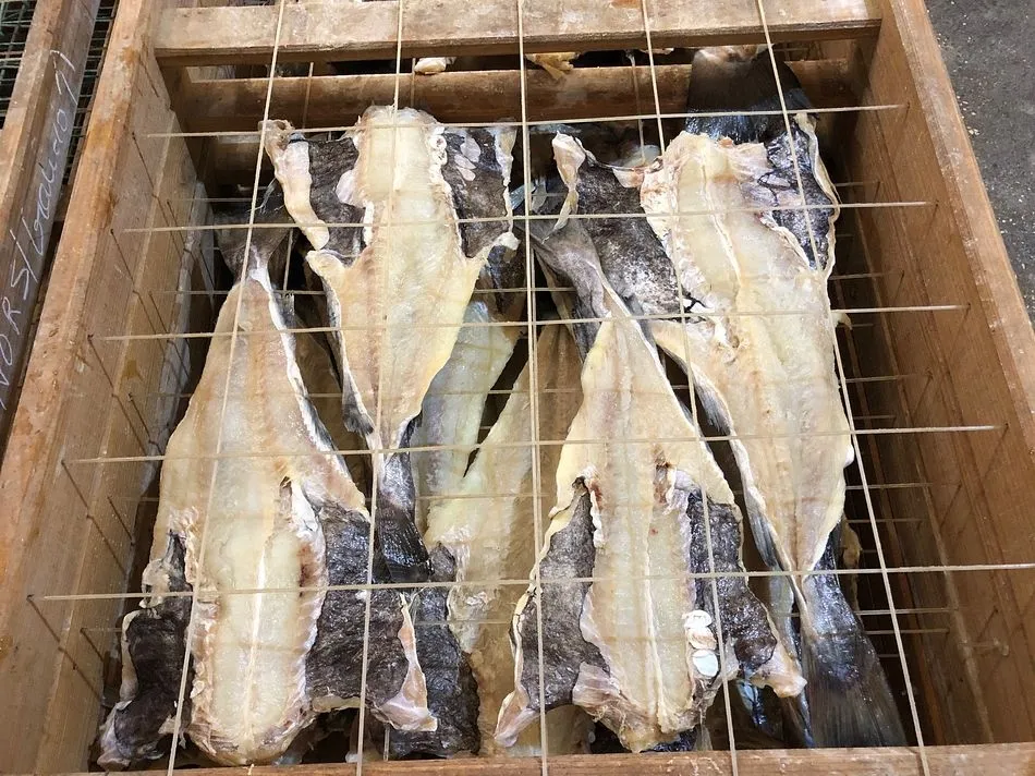 Foto 2 - &Iacute;lhavo vuelve a saborear la &lsquo;Gastronom&iacute;a de a Bordo&rsquo; con el bacalao como protagonista  