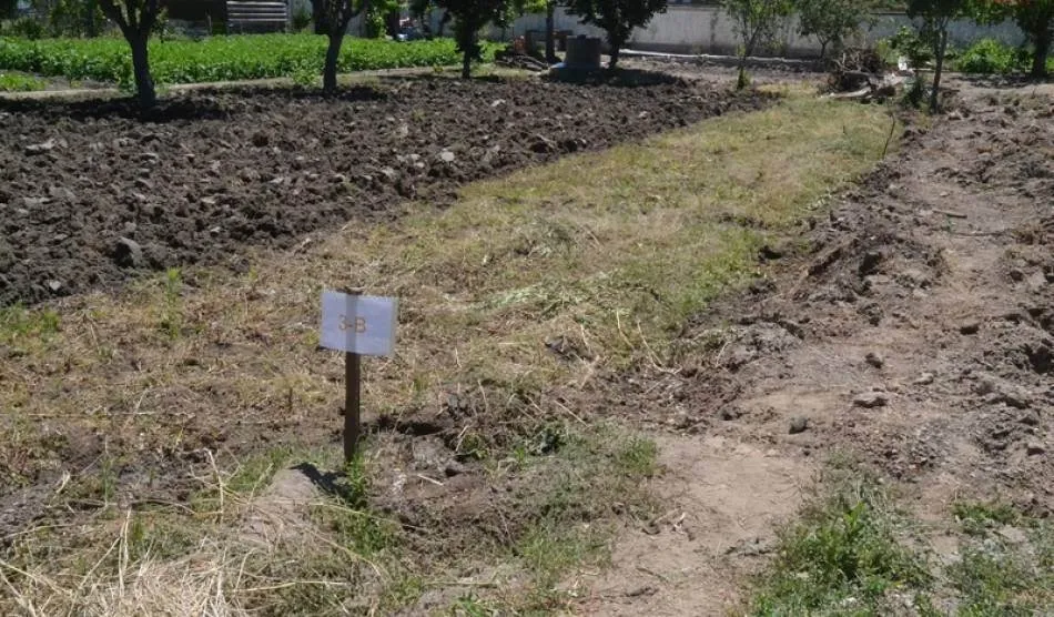 Uno de los huertos de la zona