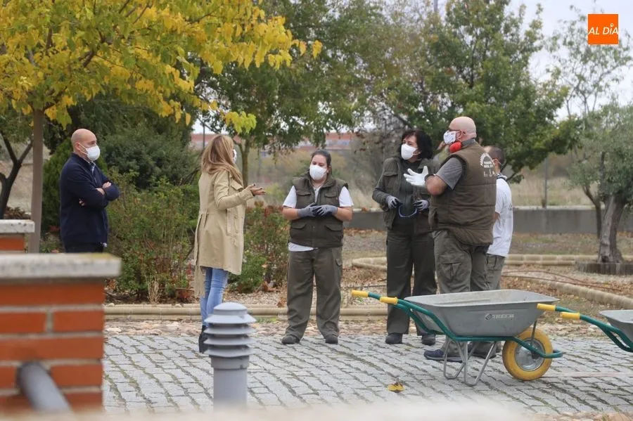 Foto 7 - Santa Marta apuesta por el mantenimiento de jardines para impulsar la inserci&oacute;n laboral de...