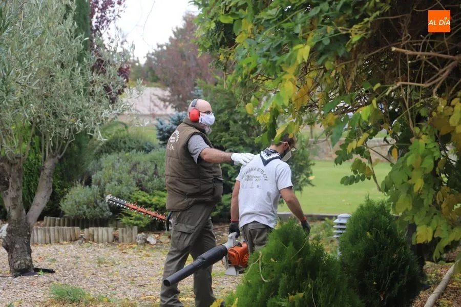Foto 6 - Santa Marta apuesta por el mantenimiento de jardines para impulsar la inserci&oacute;n laboral de...