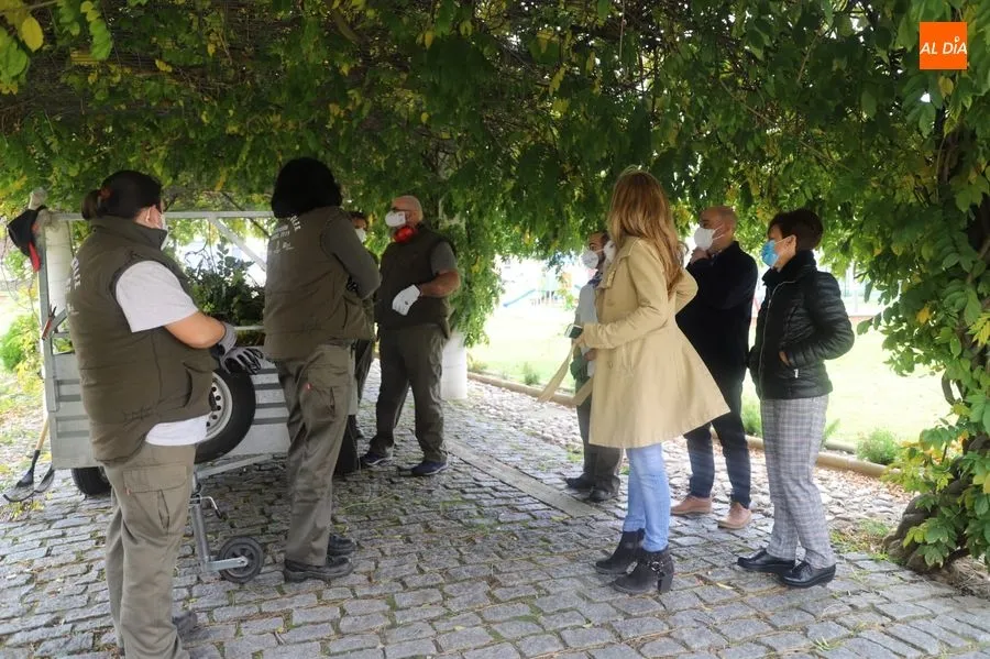 Foto 5 - Santa Marta apuesta por el mantenimiento de jardines para impulsar la inserci&oacute;n laboral de...