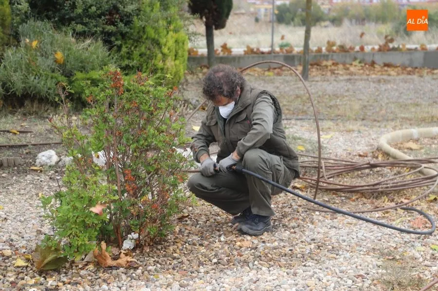 Foto 4 - Santa Marta apuesta por el mantenimiento de jardines para impulsar la inserci&oacute;n laboral de...