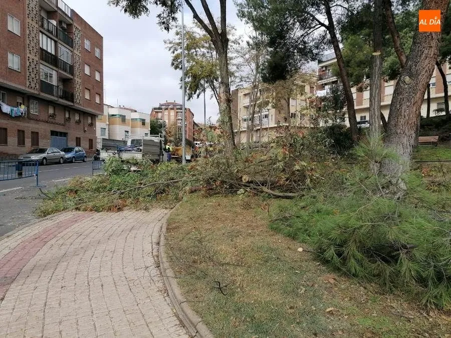 Foto 6 - El Consistorio anuncia que modernizar&aacute; el barrio de Pizarrales con varias actuaciones