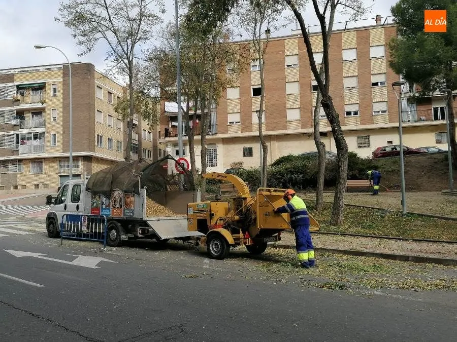 Foto 4 - El Consistorio anuncia que modernizar&aacute; el barrio de Pizarrales con varias actuaciones