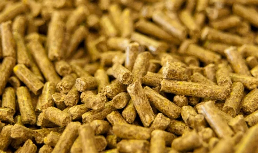 UPA denuncia esta situación que viene a confirmar que los productores primarios se ven exprimidos entre los elevados precios de los insumos y los bajos precios al consumo