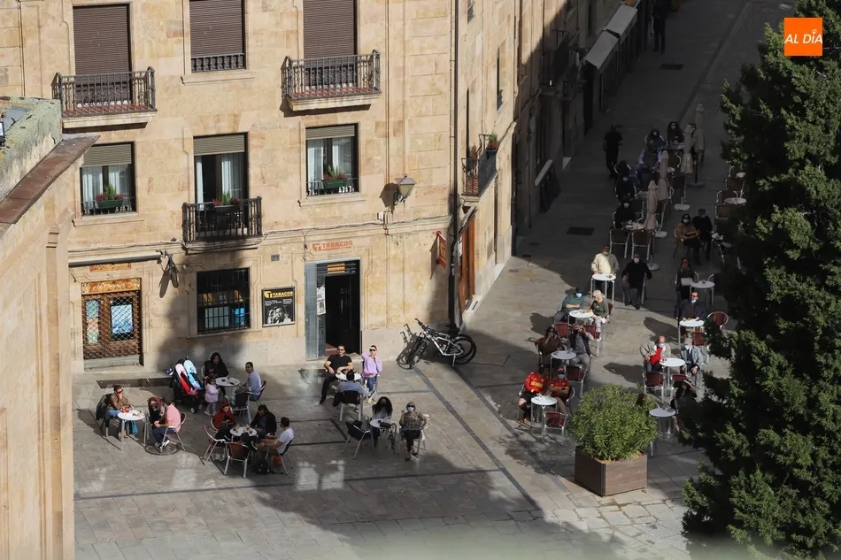 Foto 4 - El Mariquelo sube a lo alto de la Catedral de Salamanca en memoria de las v&iacute;ctimas del Covid-19