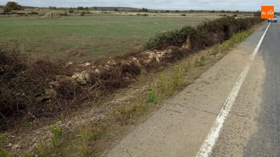 Foto 2 - Tres heridos en Ahigal de Villarino tras sufrir un accidente con un jabal&iacute;  