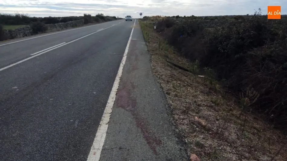Foto 3 - Tres heridos en Ahigal de Villarino tras sufrir un accidente con un jabal&iacute;  