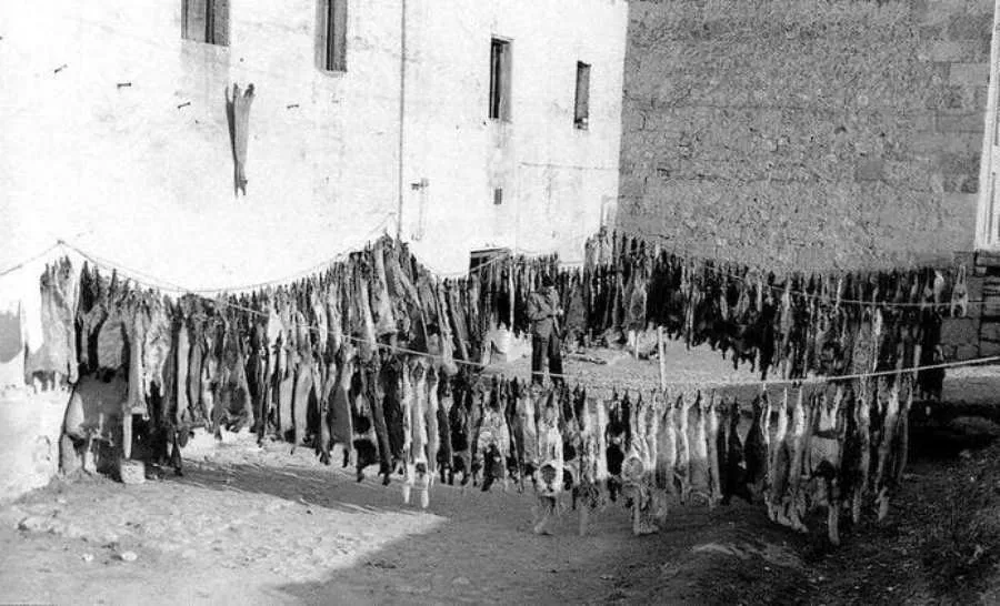 El duro oficio de los curtidores del barrio de Santiago