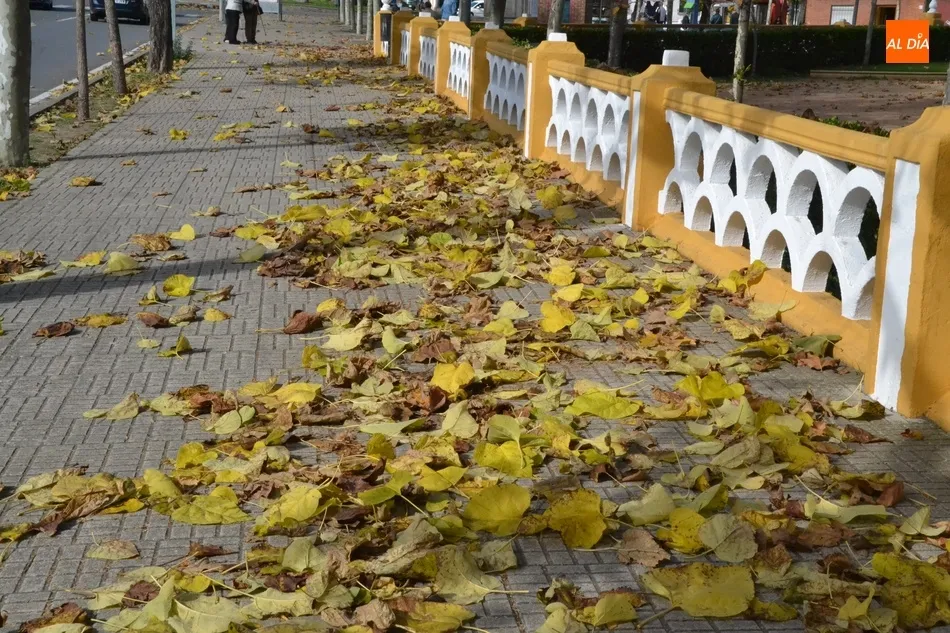 Foto 8 - 1Foto: El oto&ntilde;o en su m&aacute;ximo esplendor  