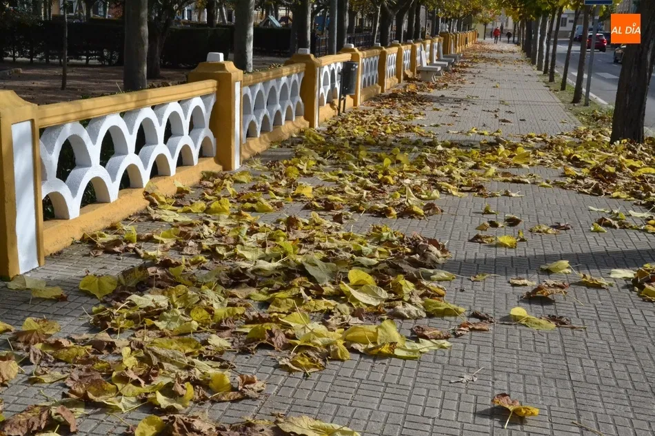 Foto 6 - 1Foto: El oto&ntilde;o en su m&aacute;ximo esplendor  