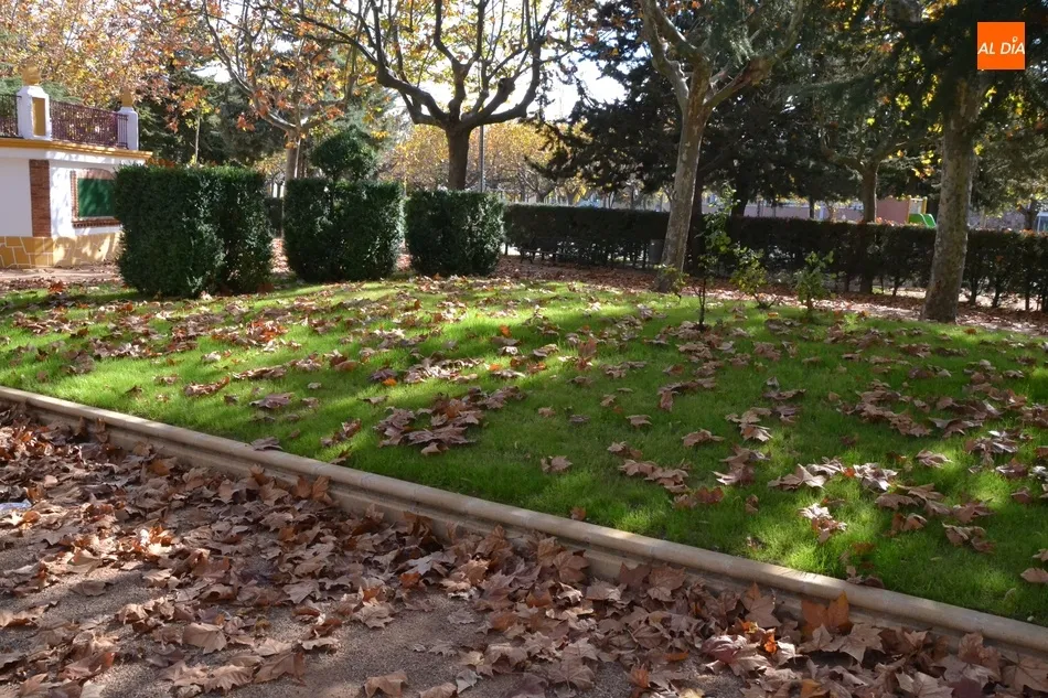 Foto 4 - 1Foto: El oto&ntilde;o en su m&aacute;ximo esplendor  