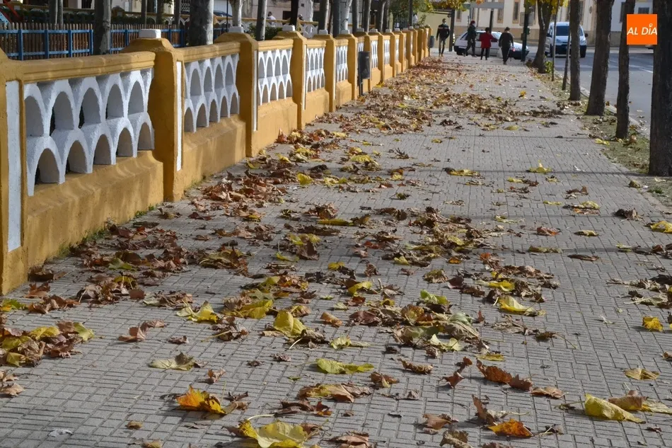 Foto 7 - 1Foto: El oto&ntilde;o en su m&aacute;ximo esplendor  