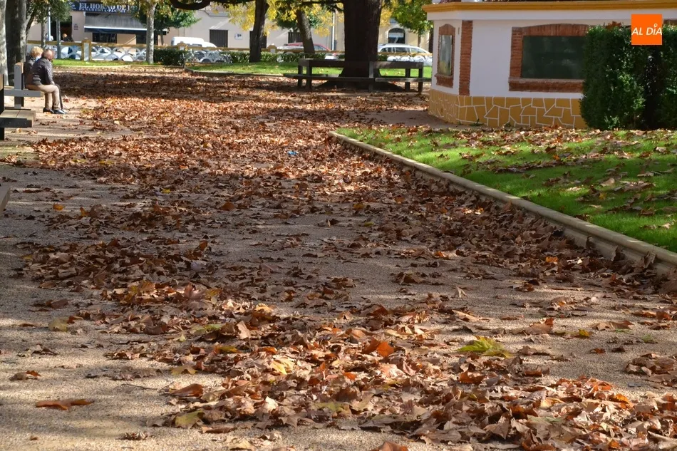 Foto 5 - 1Foto: El oto&ntilde;o en su m&aacute;ximo esplendor  