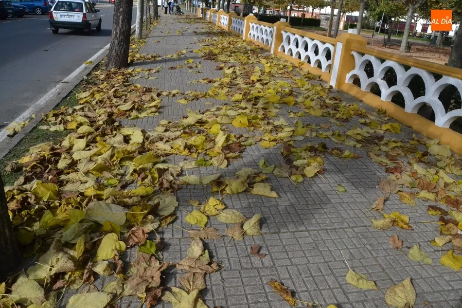 Foto 2 - 1Foto: El oto&ntilde;o en su m&aacute;ximo esplendor  