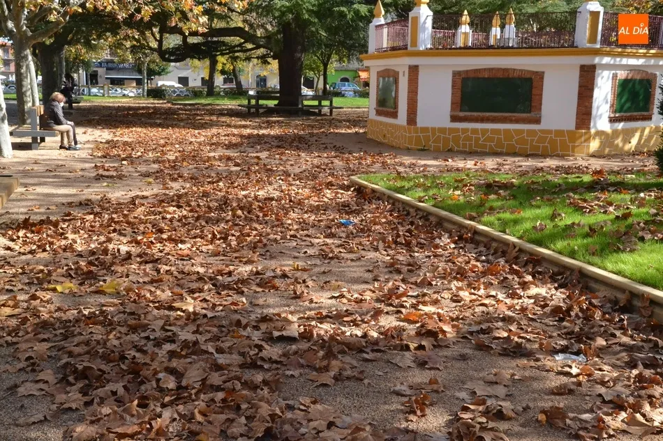 1Foto: El otoño en su máximo esplendor  