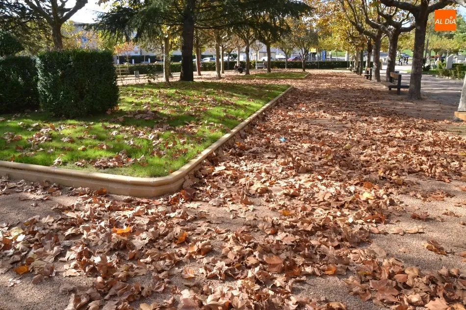 Foto 3 - 1Foto: El oto&ntilde;o en su m&aacute;ximo esplendor  