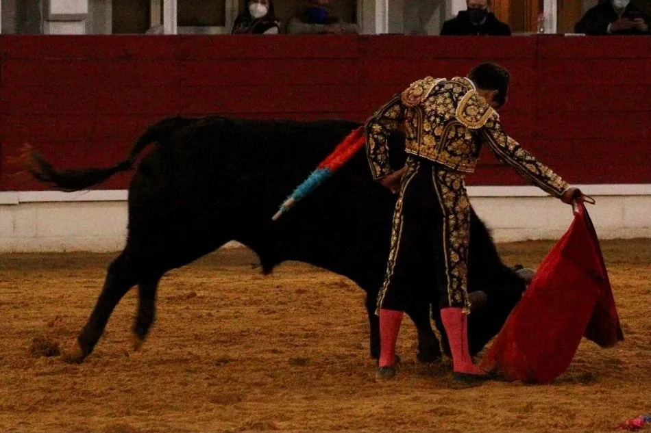 Foto 7 - El salmantino Ismael Mart&iacute;n, vencedor del Circuito de Novilladas de Castilla y Le&oacute;n