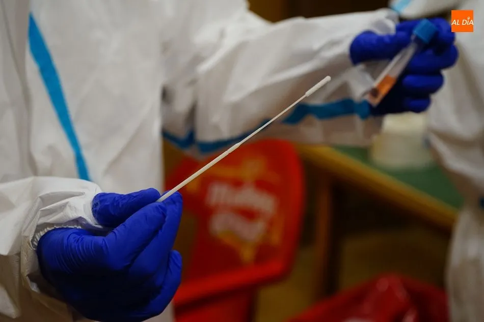 Un sanitario muestra una prueba PCR - Archivo