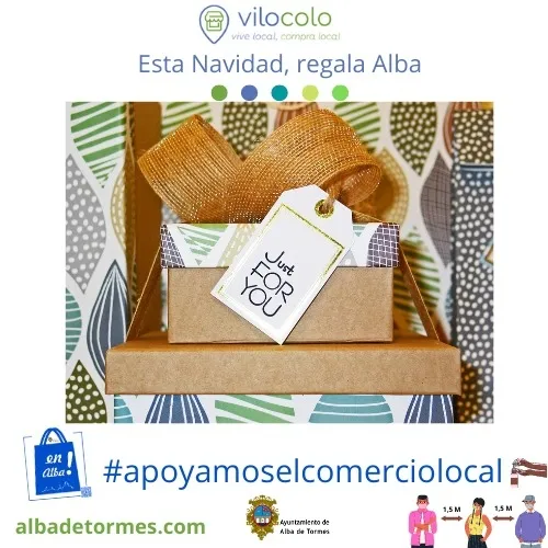 Foto 3 - El Ayuntamiento prestar&aacute; apoyo al comercio local mediante plataforma online  