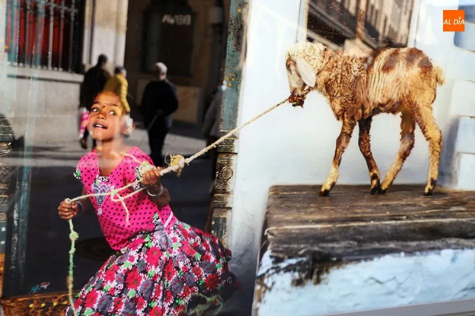 Foto 10 - La exposici&oacute;n fotogr&aacute;fica &lsquo;Tierra de sue&ntilde;os&rsquo;, de Cristina Garc&iacute;a Rodero, desembarca en la...