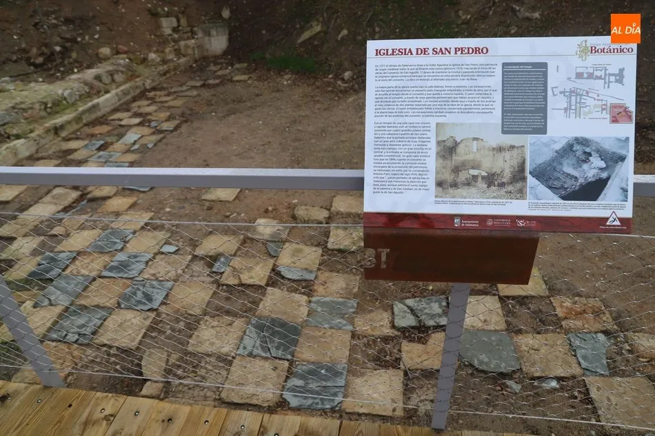 Foto 9 - El Parque Arqueol&oacute;gico del Bot&aacute;nico se abrir&aacute; al p&uacute;blico este mi&eacute;rcoles
