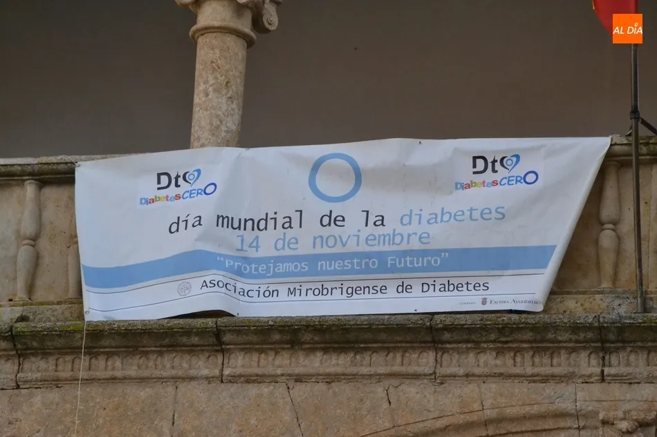 Foto 3 - La Casa Consistorial luce una pancarta con motivo del D&iacute;a Mundial de la Diabetes  