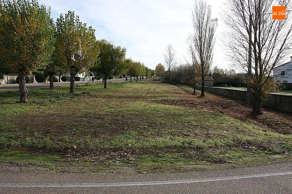 Foto 6 - El Ayuntamiento&nbsp;procede a la limpieza arbustiva de la Avenida de Salamanca  