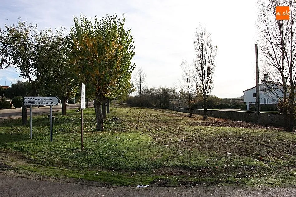 Foto 5 - El Ayuntamiento&nbsp;procede a la limpieza arbustiva de la Avenida de Salamanca  