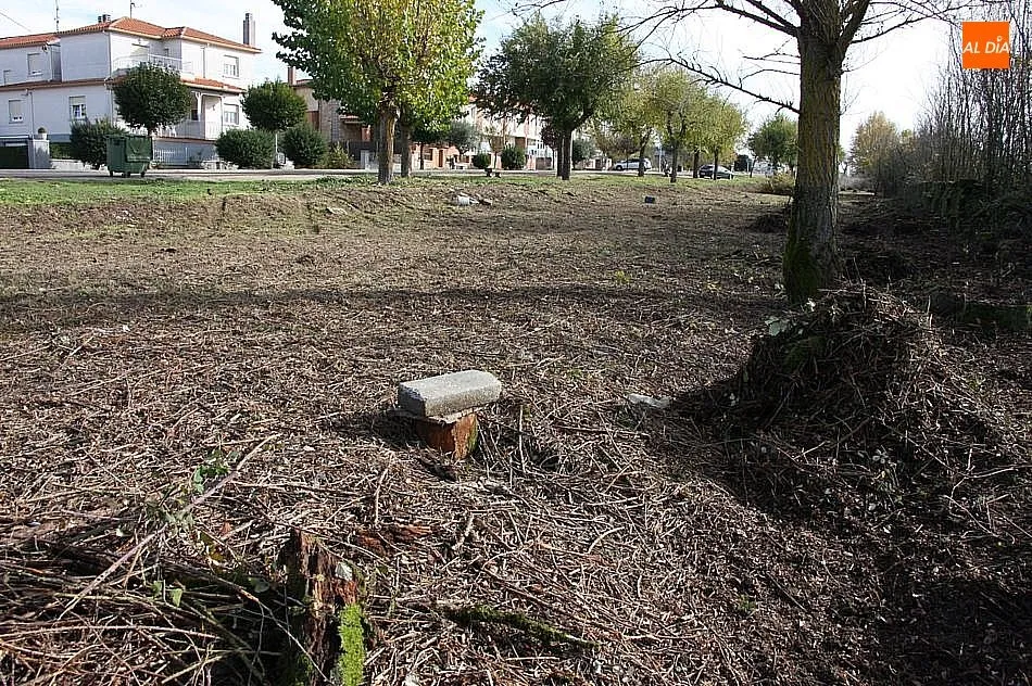 Foto 2 - El Ayuntamiento&nbsp;procede a la limpieza arbustiva de la Avenida de Salamanca  